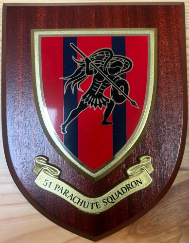 51 Para Sqn Plaque - New