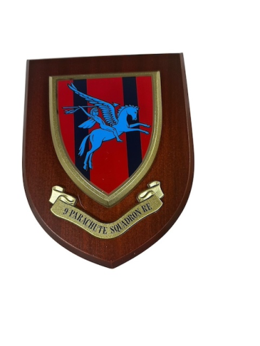 9 Parachute Squadron, Plaque