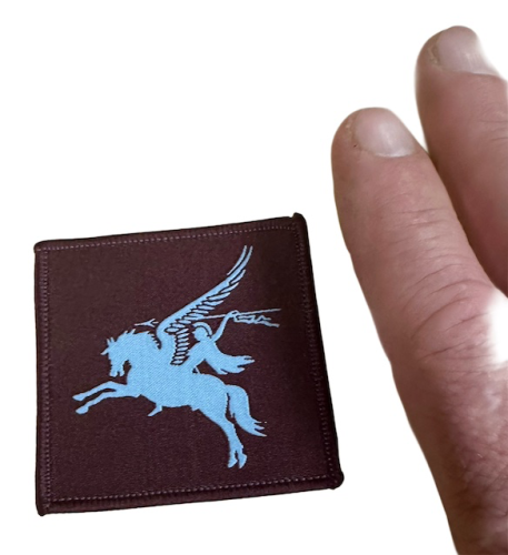 23 Engr Regiment, Pegasus Flash.