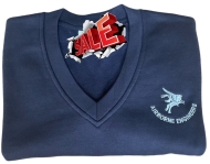Sweatshirt Blue, V Neck, AEA Breast Pegasus Logo