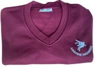 Sweatshirt, V Neck, AEA Breast Pegasus Logo