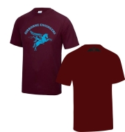 T Shirt, Wicker Fabric, Large Pegasus, AEA Logo